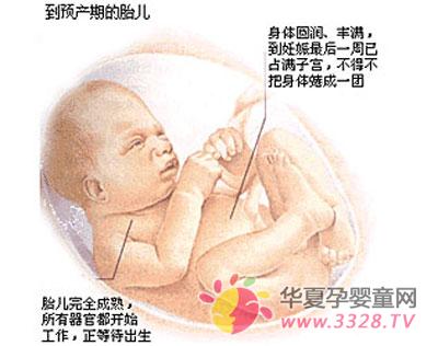 9����̥������