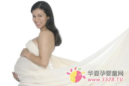 ����͸������飨NT����������������