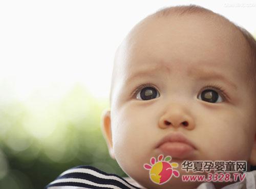 ֬������Σ��