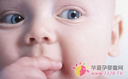 ����ϸ�����ص�