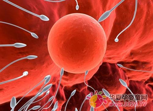 ���ӵ��йؽ���