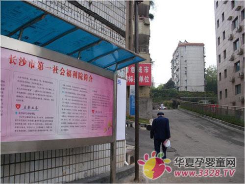 Ӣ�ϸ���Ժ�����ж�