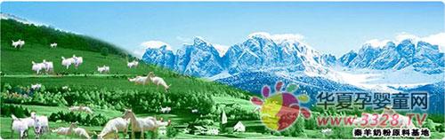 �������̷�������Ϣ