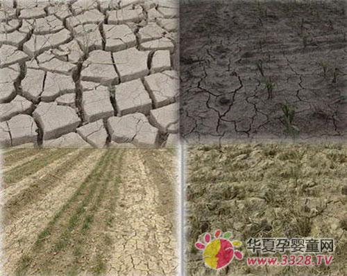 ������ϵ������ӿ�ְ���