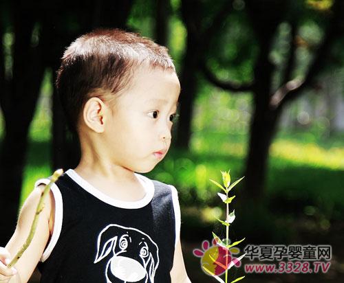 ��򶫶���Ӱ�������������Ψ������