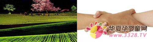 ������Ӥ�������2012������뺯