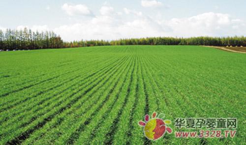 ��ɺ���Ƽ���˾������ǧĶ��ɫ������ֲ����