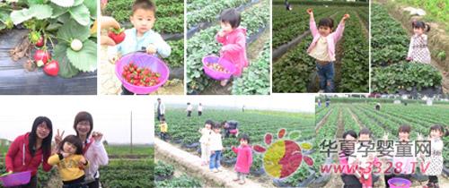 ����������ɽ˳�����ġ���ݮ����֮�á�