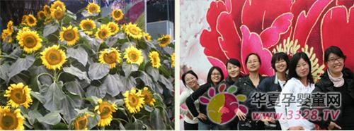 2011���������˽ڰ����԰������