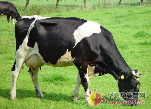 ��Ϊ�̷���ţ���� ��Ϊ�̷��������