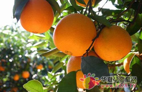 �Ը����������и����ڷ�Ӧ