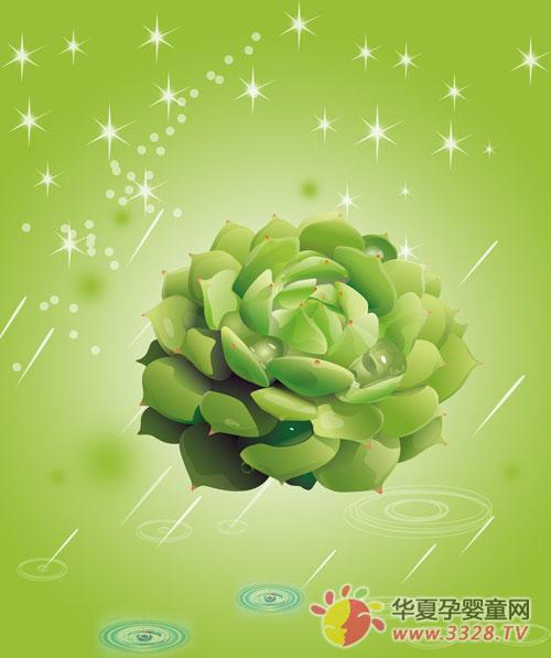 �����費��ʳ��«��