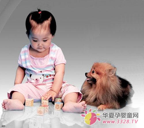 �����뱦������������ԭ��