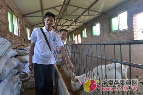 ���������̷۹㶫���˵�������������ط�