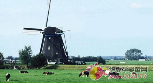 �̵�������Դʤ��