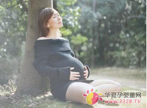 ���ڲ���Ӫ����̥����Ӱ��