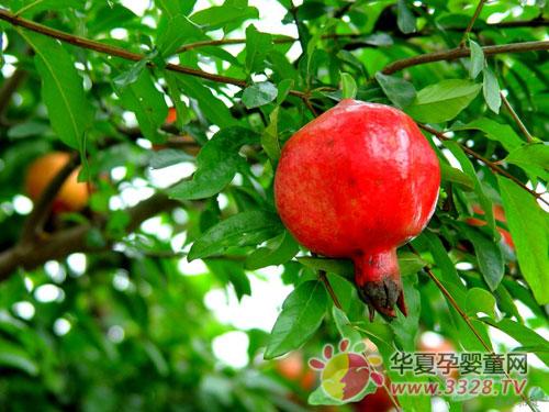 �и����Գ�ʯ����