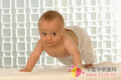 360�Ȱ�ȫС��ʿ������߱���������