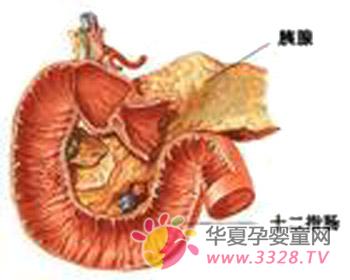 С�����������װ��з��ȵ�֢״��