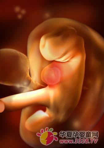 ̥������ȫ����ͼ