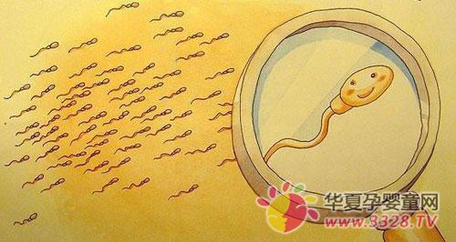 ���������ڴ��ʱ���Ƕ೤