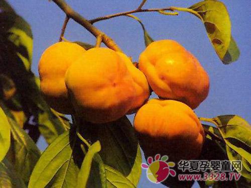 �и����Գ����Ӳ�