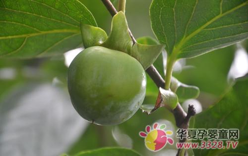 ����Ҷ�Ĺ�Ч������