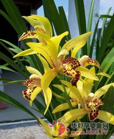 ��������ϲ������