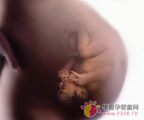 ̥��13�ܵı仯