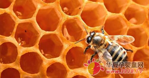 �����ȷ����������