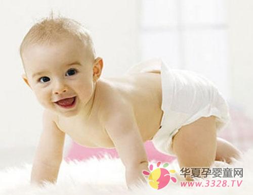 ��������Ӧ����������