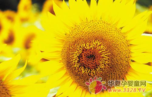 �и���Ҫ������п