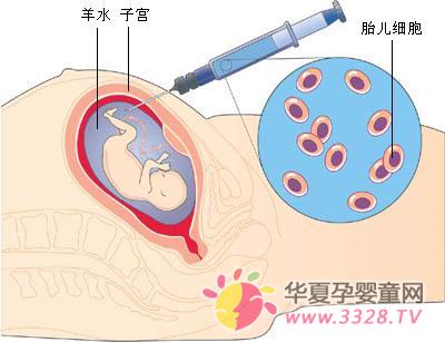 ����ˮ˨����Ӣ�����������ն���