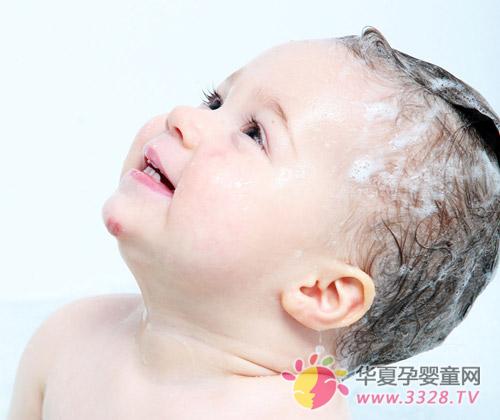 ������������С��ʿ