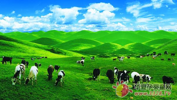 ŷ�������Ƽ���100%����ԭװ�л��̷�