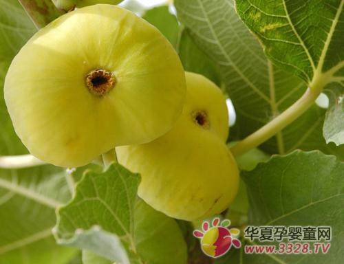 �ʺ��и��Ե�4��ˮ��