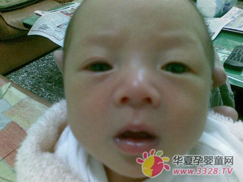 ������Ʊ�������