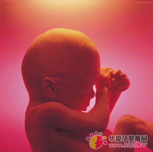 Ѫ���Ŵ����ɱ�