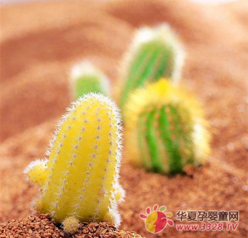 ʲô��������