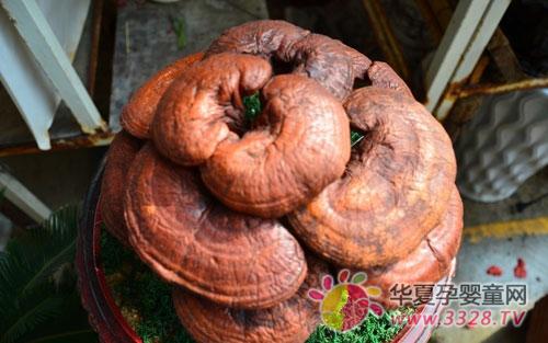 ��ô����֥�ĺû�