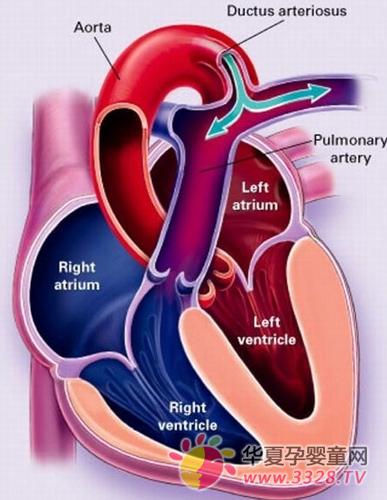 ��������δ����Ҫ����������