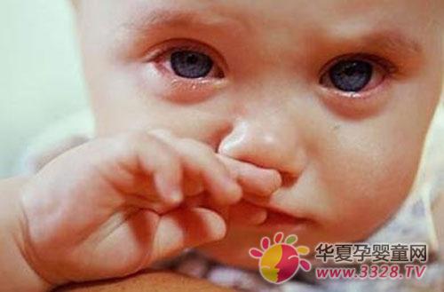 �����������ԭ��