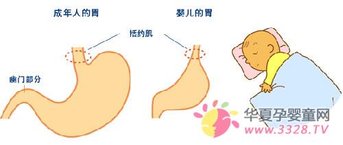 ������������ô��