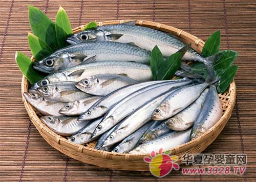 �и��ͱ���������DHA����