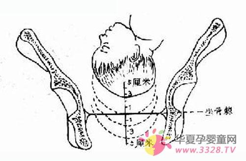 ̥ͷ���������