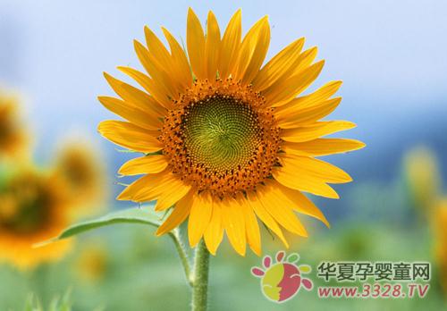 Ů�Ի���ǰ������Щ���