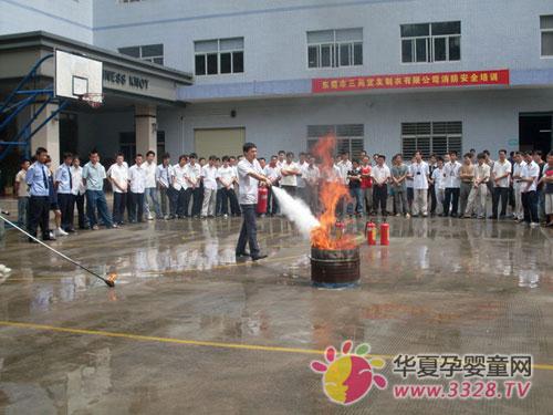 ������ȫ����������