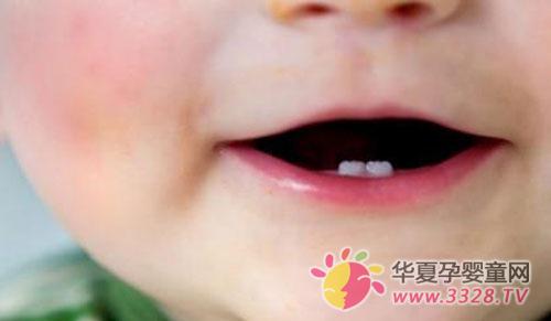 С��ʲôʱ�򳤴���