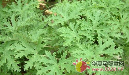 �и���ô����