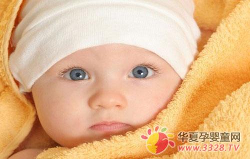 ��λ��ⱦ������